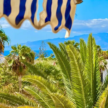 Bluebird Luxury In Americas *